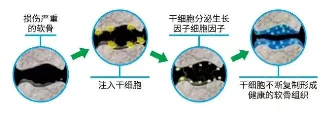 微信图片_20250716102610