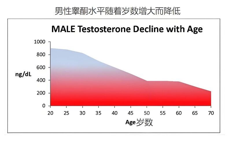 微信图片_2025-08-04_151916_693