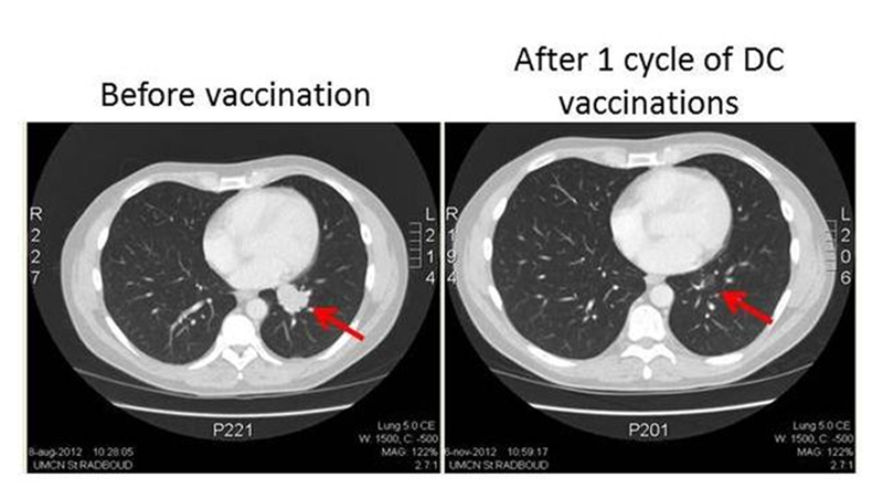 微信图片_2025-08-04_152440_175