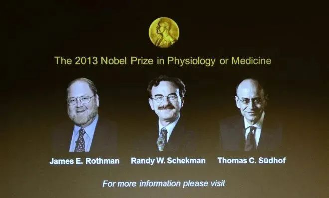 微信图片_2025-08-04_152953_491