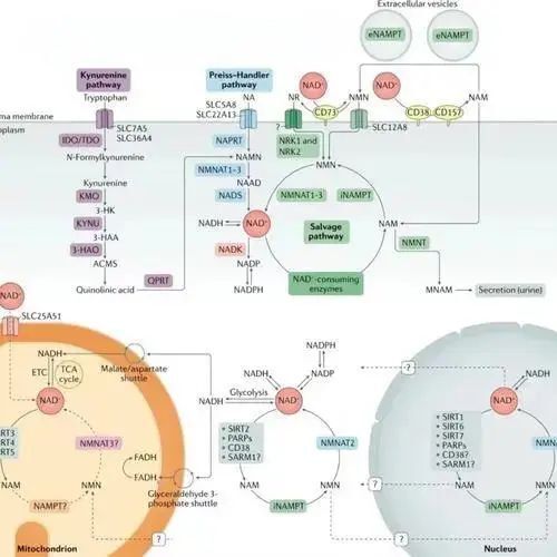 微信图片_2025-08-04_153659_183