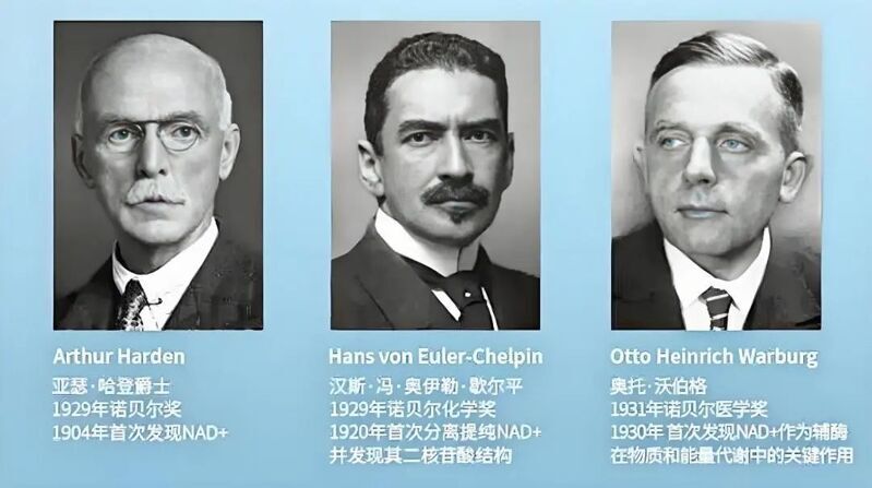 微信图片_2025-08-04_153703_989