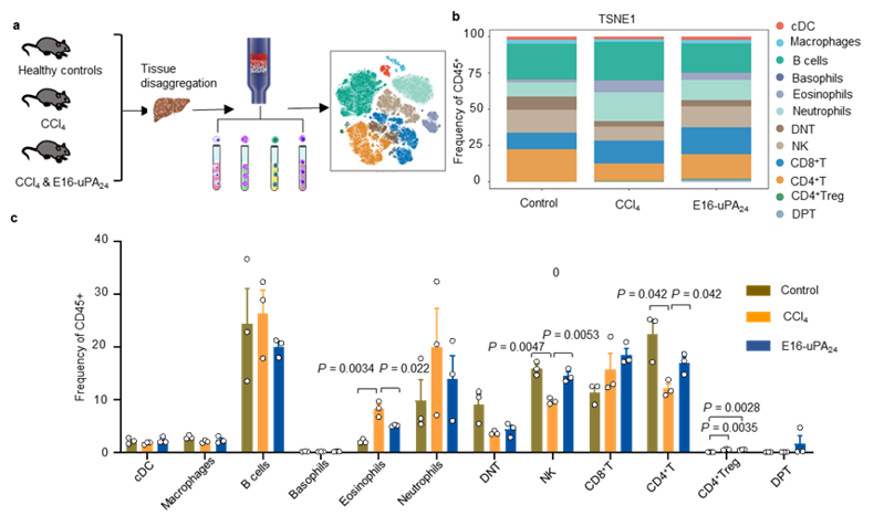 微信图片_2025-08-04_155048_543