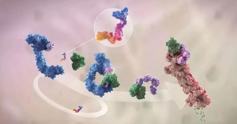 微信图片_2025-08-04_155051_230