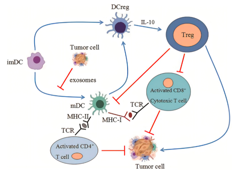 微信图片_2025-08-06_132225_824