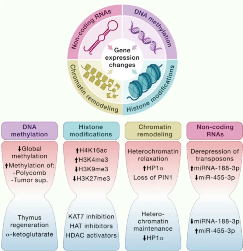 wechat_2025-08-13_163207_598