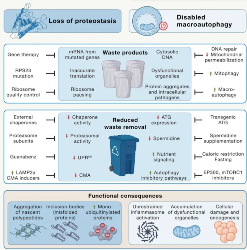 wechat_2025-08-13_163309_730