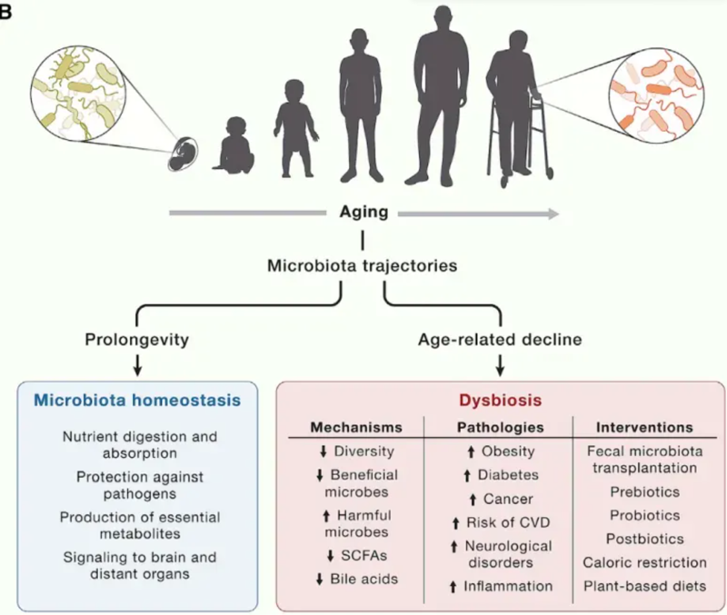wechat_2025-08-13_164003_985
