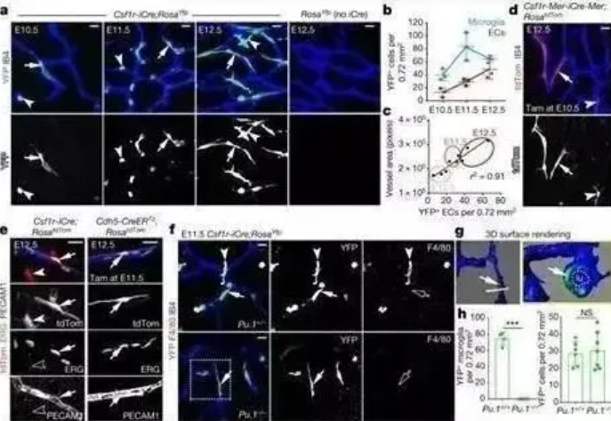 wechat_2025-08-21_143356_974